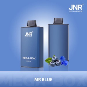 JNR - Mega -  Box  - 25K - Puffs - Disposable - Vape
