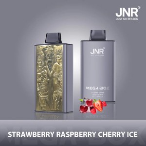 JNR - Mega -  Box  - 25K - Puffs - Disposable - Vape