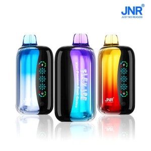 JNR – Flex Ice – 21 000 bouffées