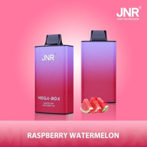 JNR - Mega -  Box  - 25K - Puffs - Disposable - Vape