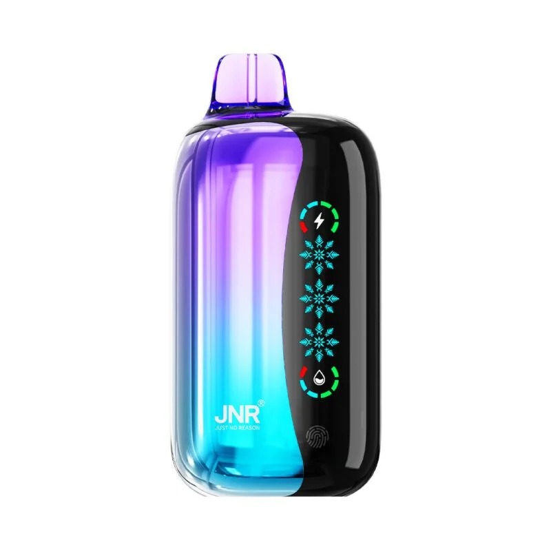 JNR – Flex Ice – 21 000 bouffées