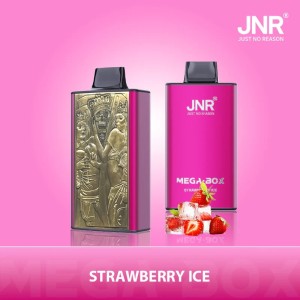 JNR - Mega -  Box  - 25K - Puffs - Disposable - Vape