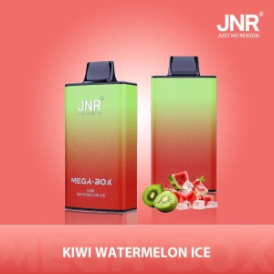 JNR - Mega -  Box  - 25K - Puffs - Disposable - Vape
