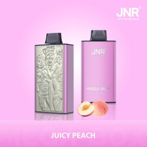 JNR - Mega -  Box  - 25K - Puffs - Disposable - Vape