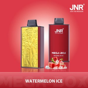 JNR - Mega -  Box  - 25K - Puffs - Disposable - Vape